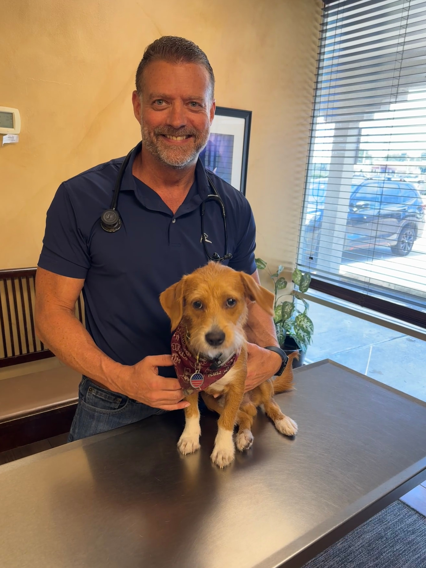 Dr. Steve Pelton with a patient at Hearthstone Animal Clinic